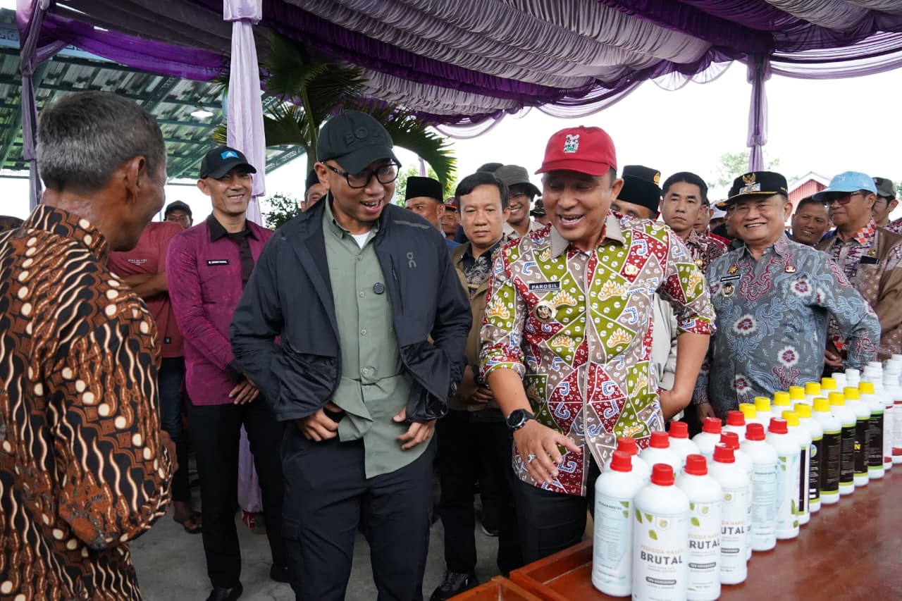 Tinjau Sentra Sayur di Sukau, Gubernur Mirza Instruksikan Proteksi Harga Panen Petani dan Siapkan Hilirisasi di Lampung Barat